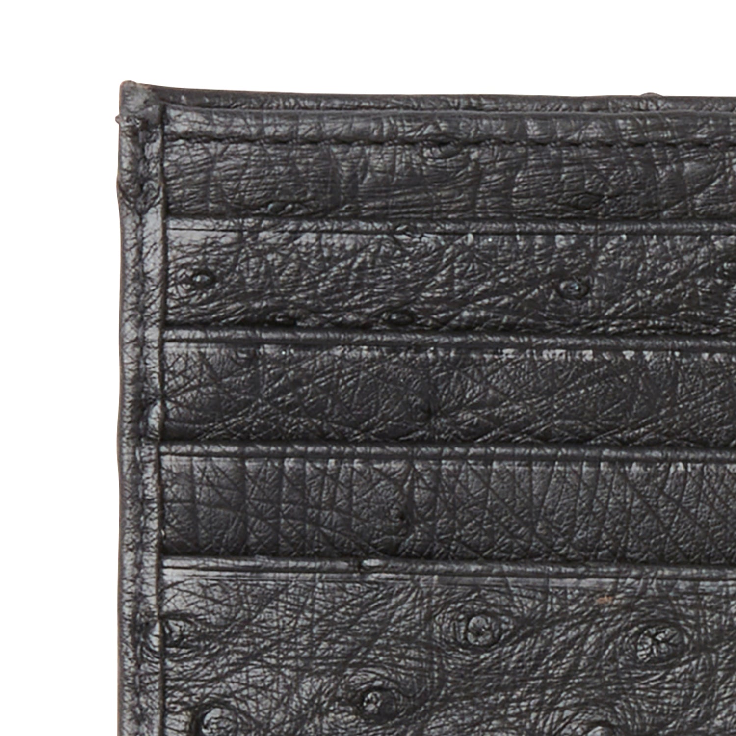 Hipster Wallet – Ostrich :: Black